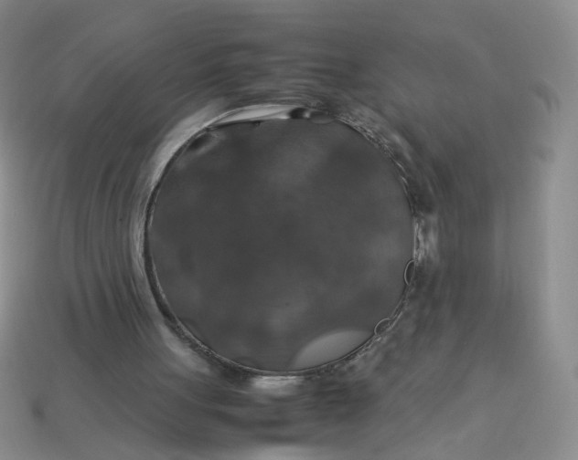 X0000113600051200910091529