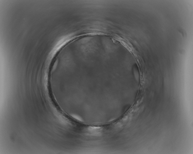 X0000113600055200910091529