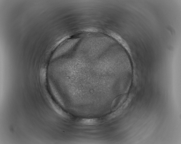 X0000113600057200910091529