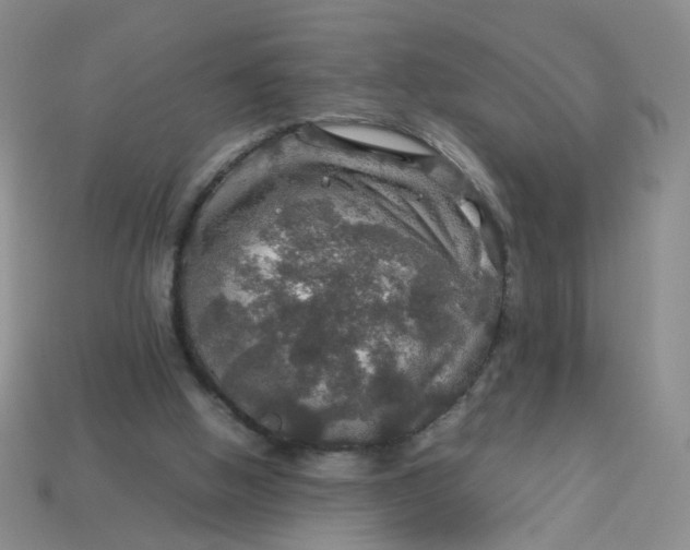 X0000113600058200910091529