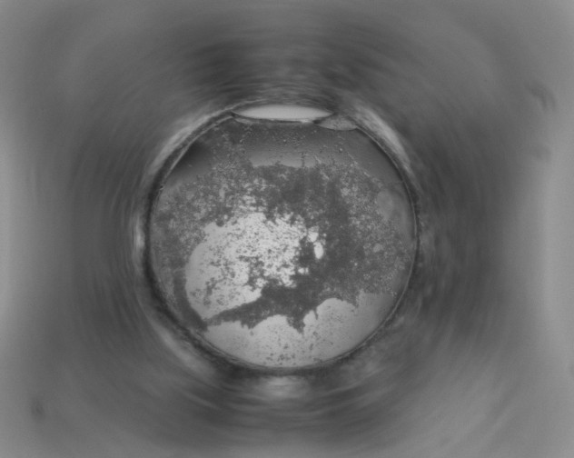 X0000113600059200910091529