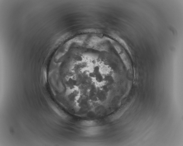 X0000113600061200910091529