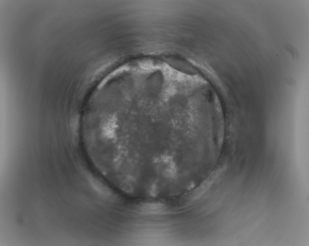 X0000113600066200910091529