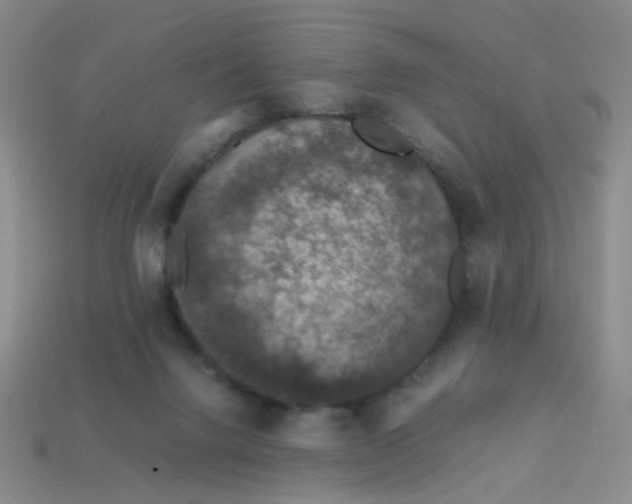 X0000113600072200910091529