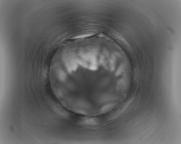 X0000113600073200910091529