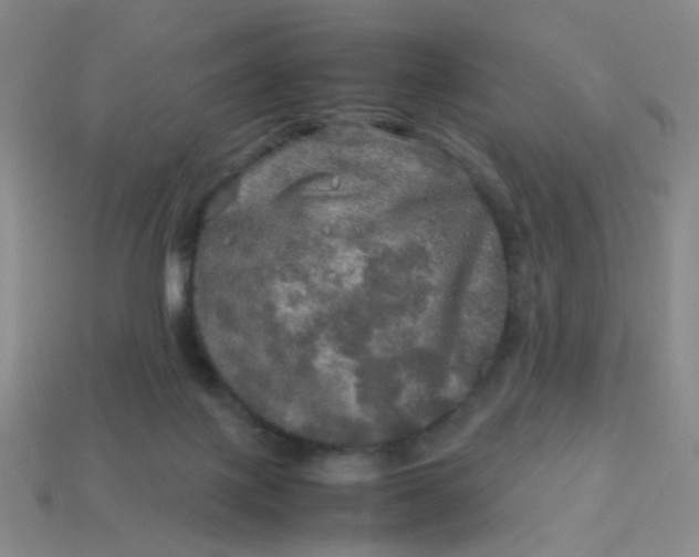 X0000113600075200910091529