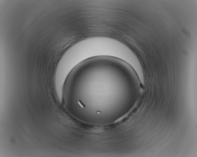 X0000113600076200910091529