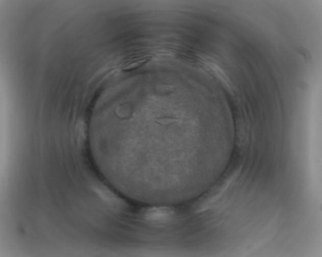 X0000113600077200910091529