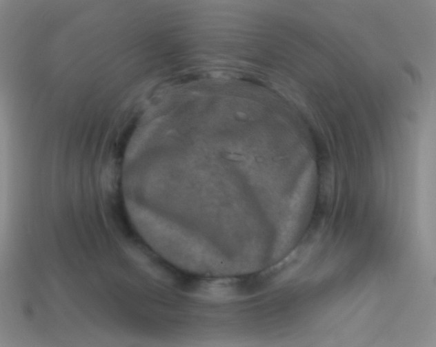 X0000113600078200910091529