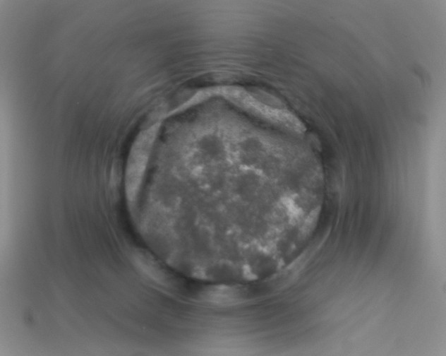 X0000113600082200910091529