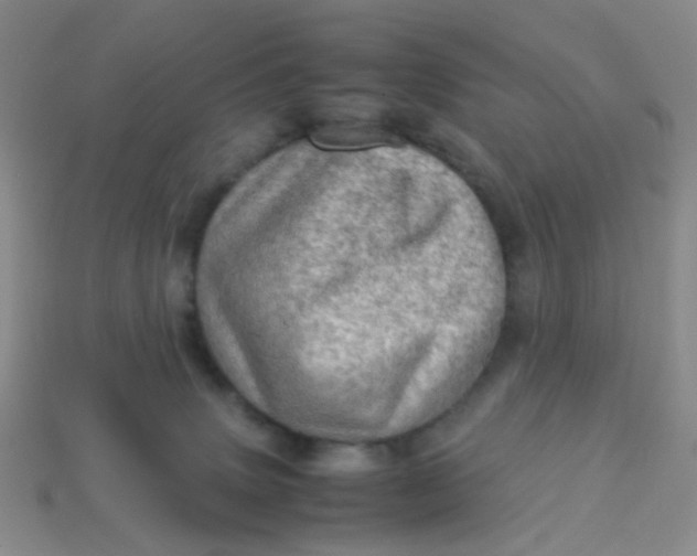 X0000113600083200910091529