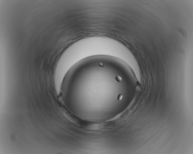 X0000113600084200910091529