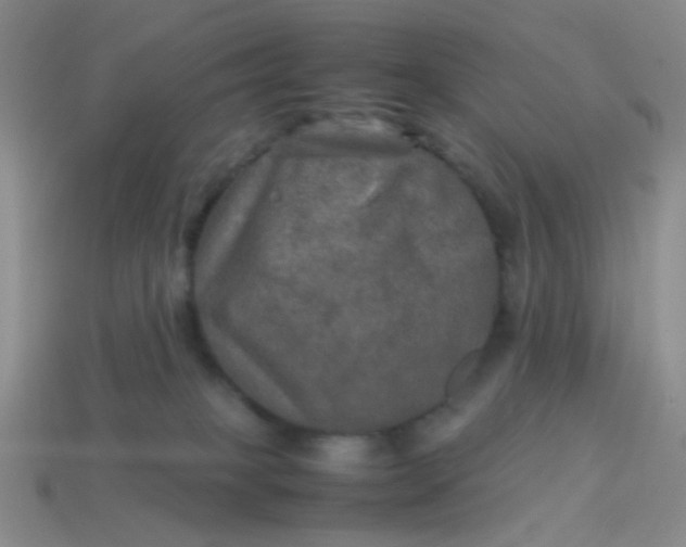 X0000113600085200910091529