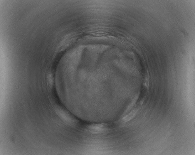 X0000113600086200910091529