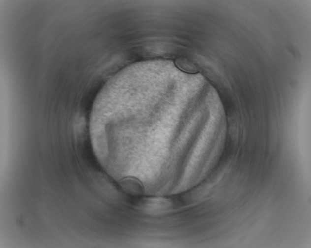 X0000113600087200910091529