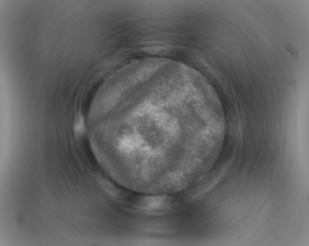 X0000113600089200910091529