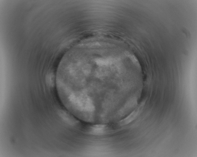 X0000113600090200910091529