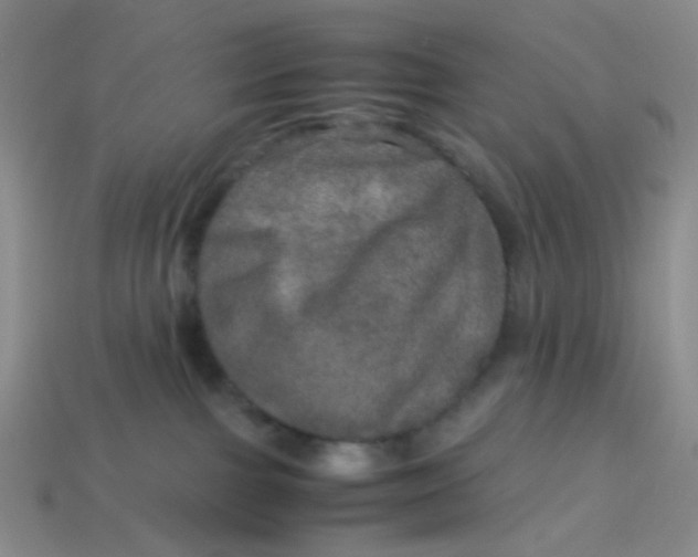 X0000113600091200910091529