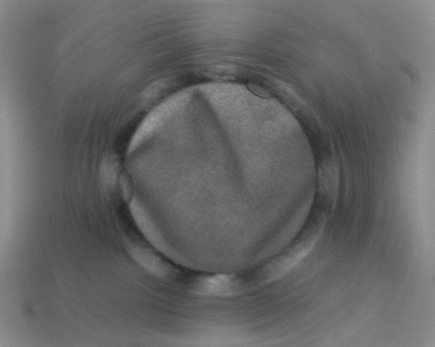 X0000113600092200910091529