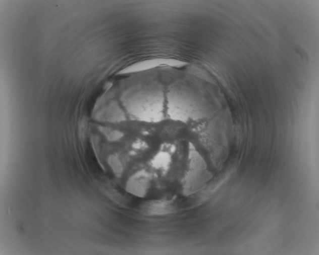 X0000113600093200910091529