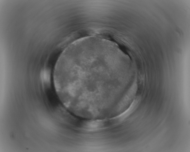 X0000113600094200910091529