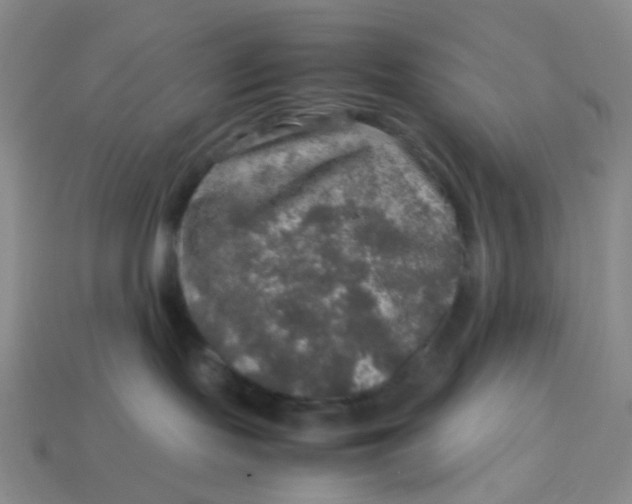 X0000113600095200910091529