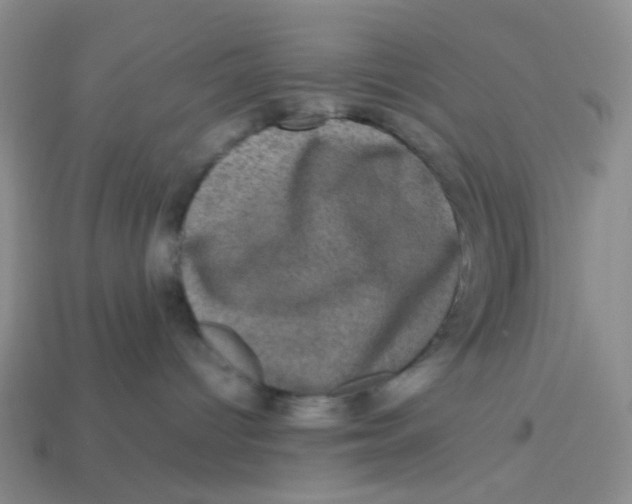 X0000113600096200910091529