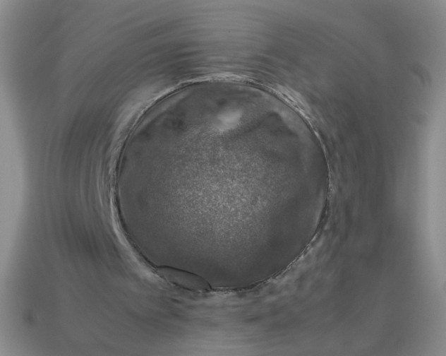 X0000113600097200910091529