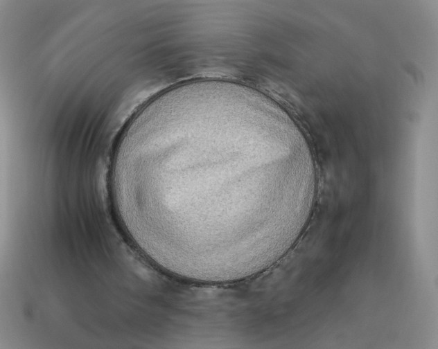 X0000113600098200910091529