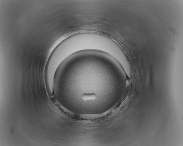 X0000113600100200910091529