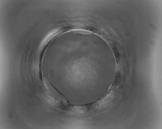 X0000113600101200910091529