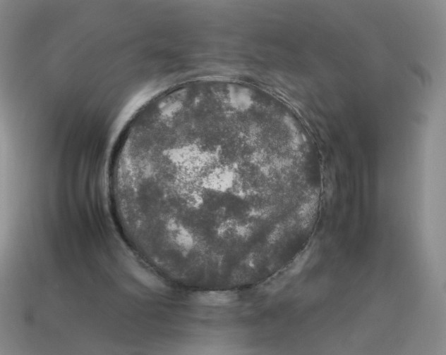 X0000113600102200910091529