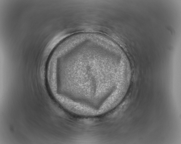 X0000113600103200910091529