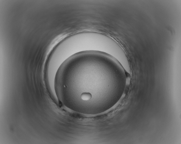 X0000113600104200910091529