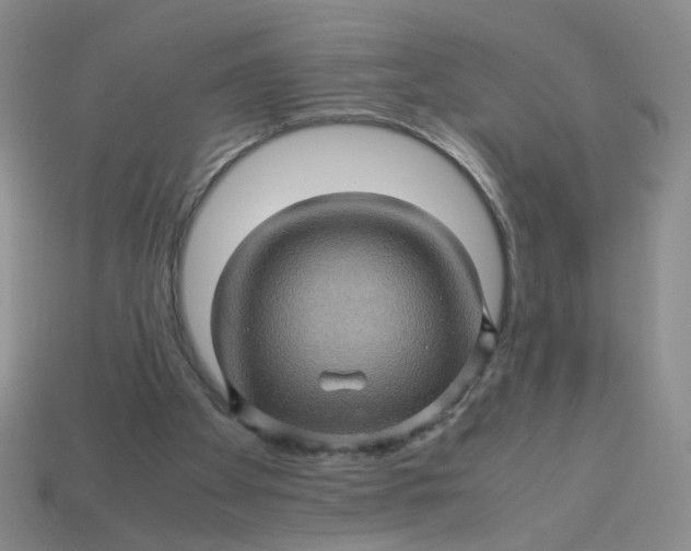 X0000113600105200910091528