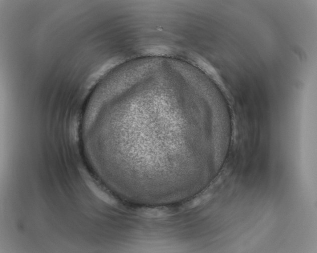 X0000113600106200910091528