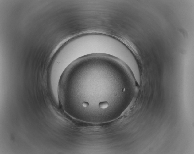 X0000113600108200910091528