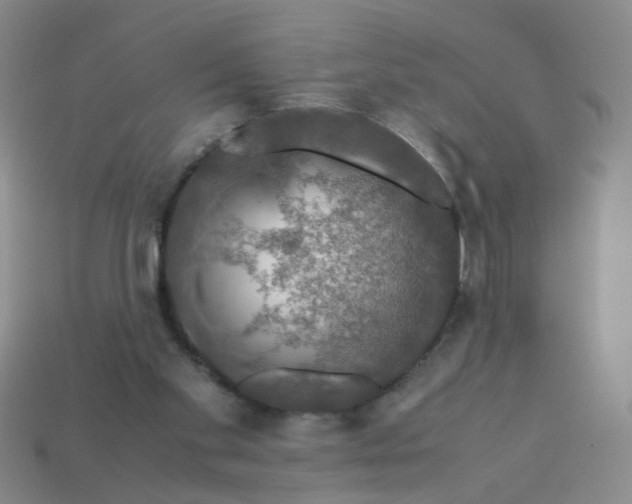 X0000113600109200910091528