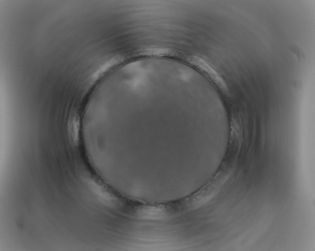 X0000113600110200910091528