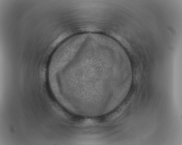 X0000113600111200910091528