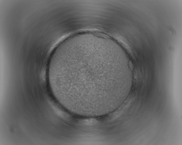 X0000113600112200910091528