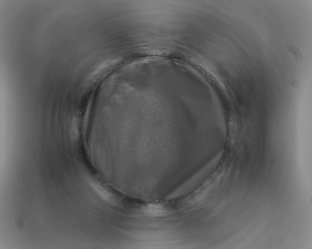 X0000113600114200910091528