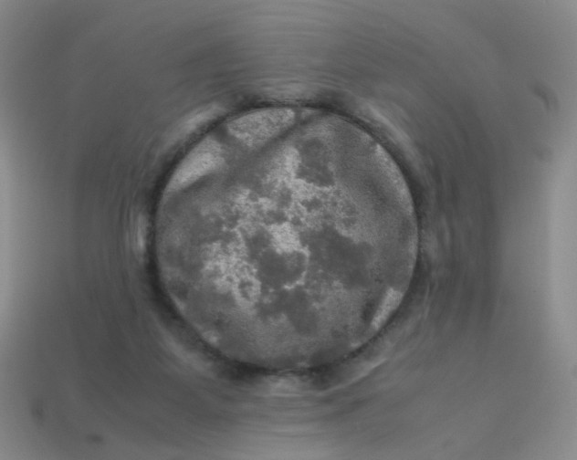 X0000113600115200910091528