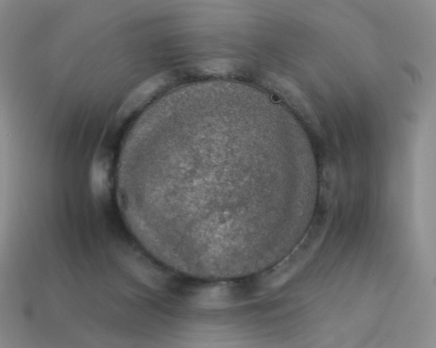 X0000113600116200910091528