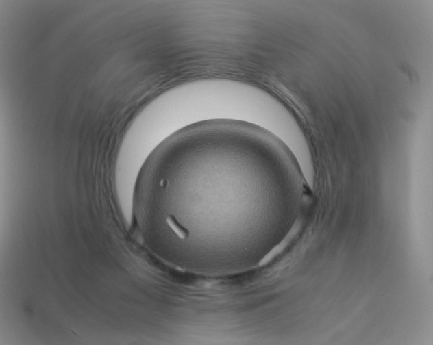 X0000113600117200910091528