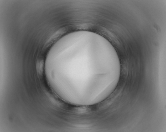 X0000113600118200910091528