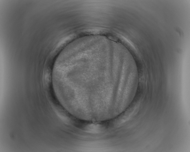 X0000113600119200910091528