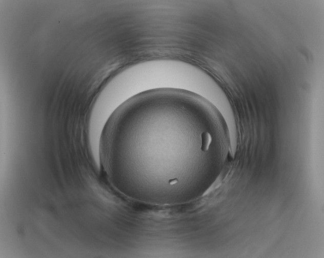 X0000113600120200910091528