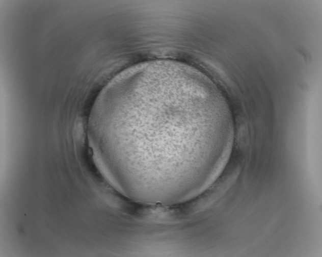 X0000113600121200910091528