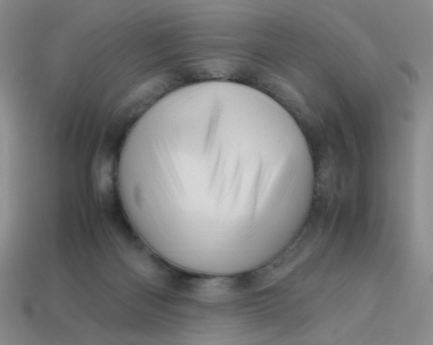 X0000113600122200910091528